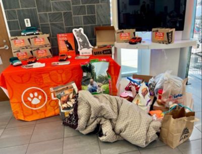 Subaru Helping Homeless Dogs