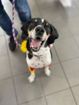 Thank you, Subaru World of Hackettstown for your support!