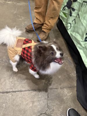 Bowsers Boo Bash, Presented by Capitol Subaru