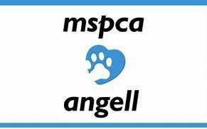 MSPCA-Angell