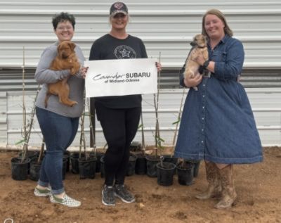 Growing Hope at Lone Star Sanctuary for Animals