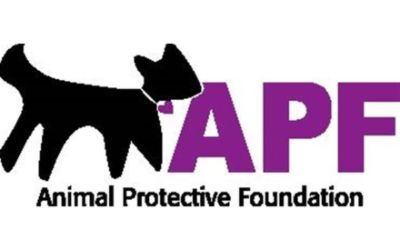 Animal Protective Foundation 