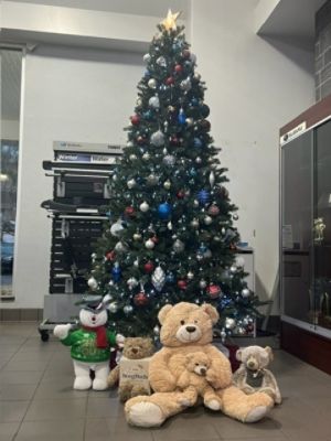 Teddy Bear Rally 2023