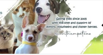 Anthem Pets Animal Rescue - Saving lives since 2005