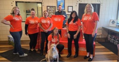 Subaru Loves Pets: Trunk or Treat