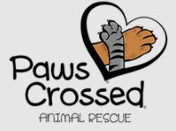 Paws Crossed