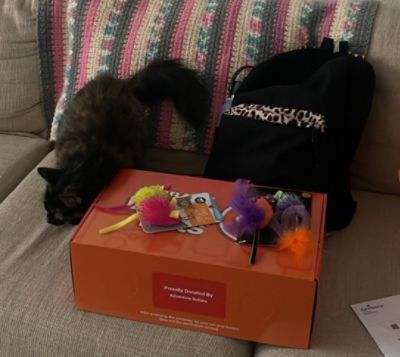 A Match Made in Heaven