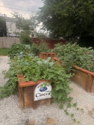 Yorktown Park - Community raised garden boxes