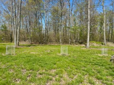 Stocker Subaru Grows Green with the Community