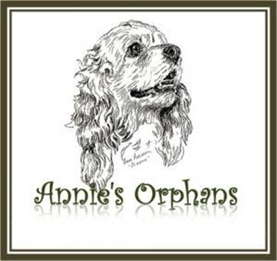 Annie's Orphans