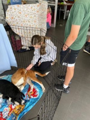 Williams Subaru Loves Pets