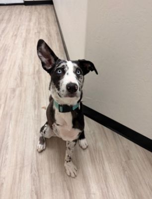 A Second Chance to Change Lives