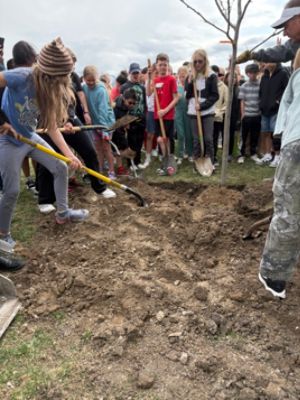 American Fork Arbor Day