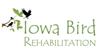 Iowa Bird Rehabilitation