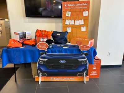 Jensen Subaru's Lucky 13