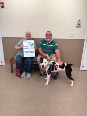 Love Finds a Way: JJ’s Journey Home