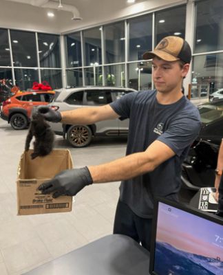 A Purr-fect Surprise in Service