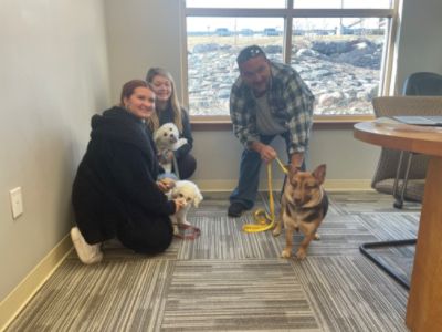 Dog Star & Mitchell Subaru Host Pet Adoption