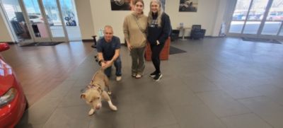 A Subaru Love Promise Moment: Finding Forever Homes