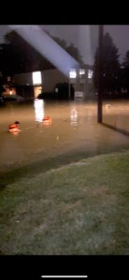 Fueled by Love, Driven by Community