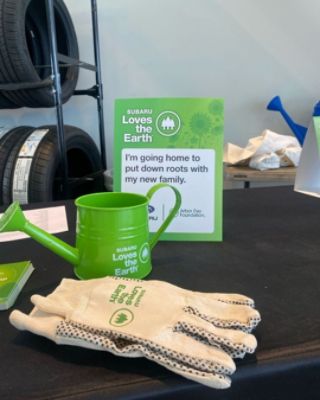 Growing a Greener Community