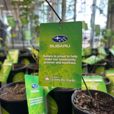 Helping to grow a greener and healthier community by donating and planting trees in Victor.