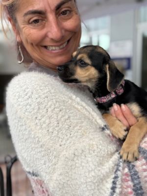 Subaru Loves Pets Adoption Event at Subaru Pacific 10/2025