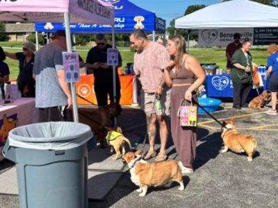 Tails waggin' as Grand Subaru shows it loves pets