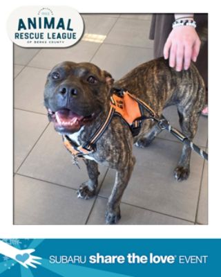 Ready for Adventure – Zeke's Journey