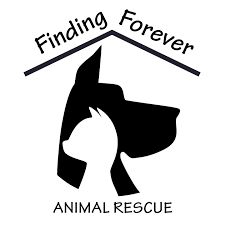Finding Forever Animal Rescue
