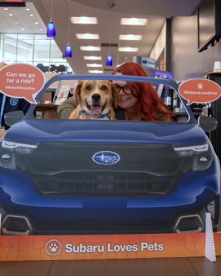 How Concordville Subaru Helps TLC Rescue Save More Dogs