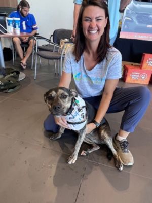 Anthem Pets adoptions at Subaru Superstore of Surprise!