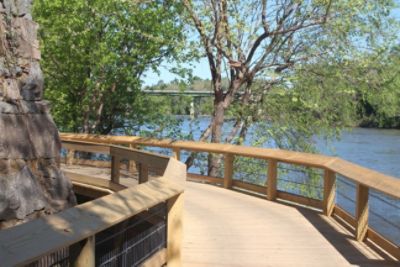A festival touches a charity that brings incredible access and protects nature in the city.
