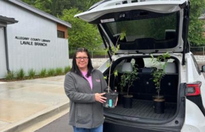 Cumberland Subaru Loves the Earth Tree Donation - Allegany County Library, LaVale Branch
