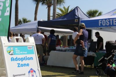 Brownie’s Mutt Strut 2025: A Community Walking Together for Animals”