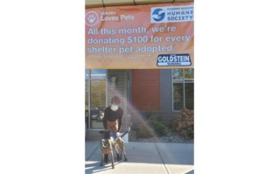 Goldstein and MHHS Partnership