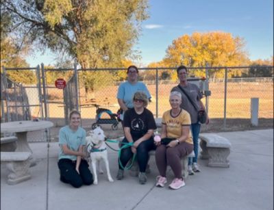 A Second Chance for Toby