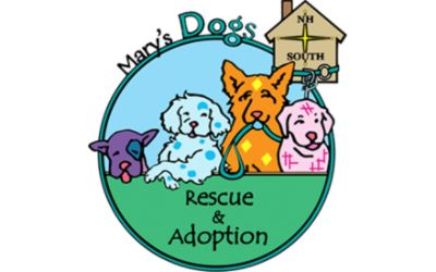 Mary's Dogs Rescue and Adoption