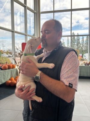 Capitol Subaru Loves Pets!