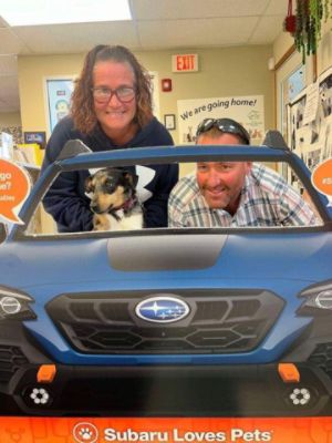 Subaru Loves Pets!!