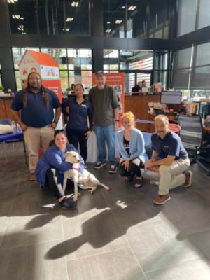 A Shared Mission of Compassion: ARF Beacon & Mid-Hudson Subaru Bring Subaru Loves Pets to Life