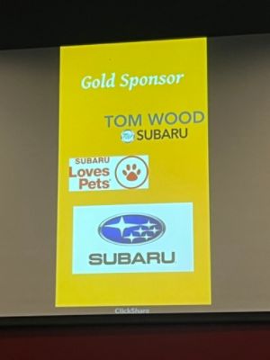 Mutts & Mimosas: 11 Years of Saving Lives