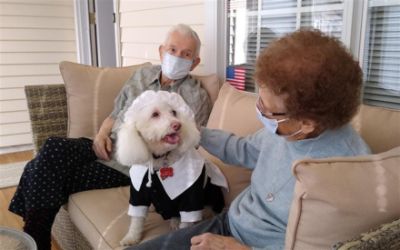 Caregiver Canines Still Bringing Joy to Seniors