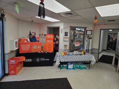 Making a Difference Together: Chad Mahoney and Subaru Loves Pets