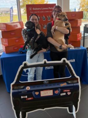 Annual Pet Adoption Event!