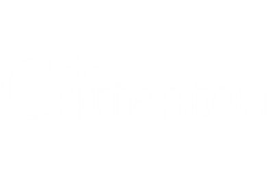 partnerCompanyName