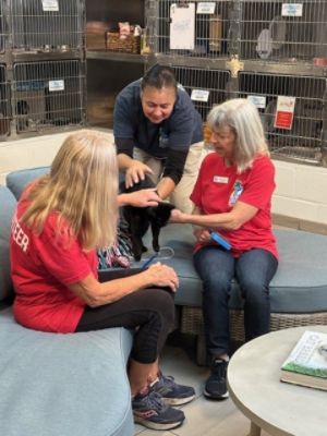Subaru of Daytona Partners with Halifax Humane Society to Make a Difference