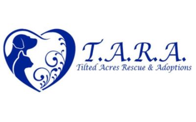 Tilted Acres Rescue and Adoptions