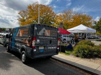 Dellenbach Subaru Pet Adoption Event