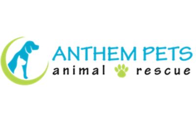 partnerCompanyName